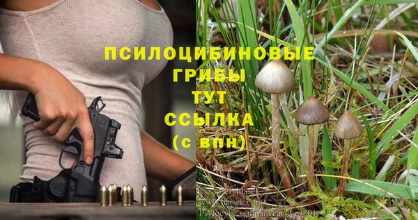 Альфа ПВП Алексеевка